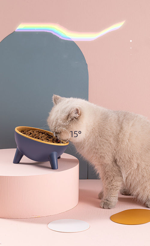 Elevated Pet Bowl with Stand – Cleaner & Healthier Feeding