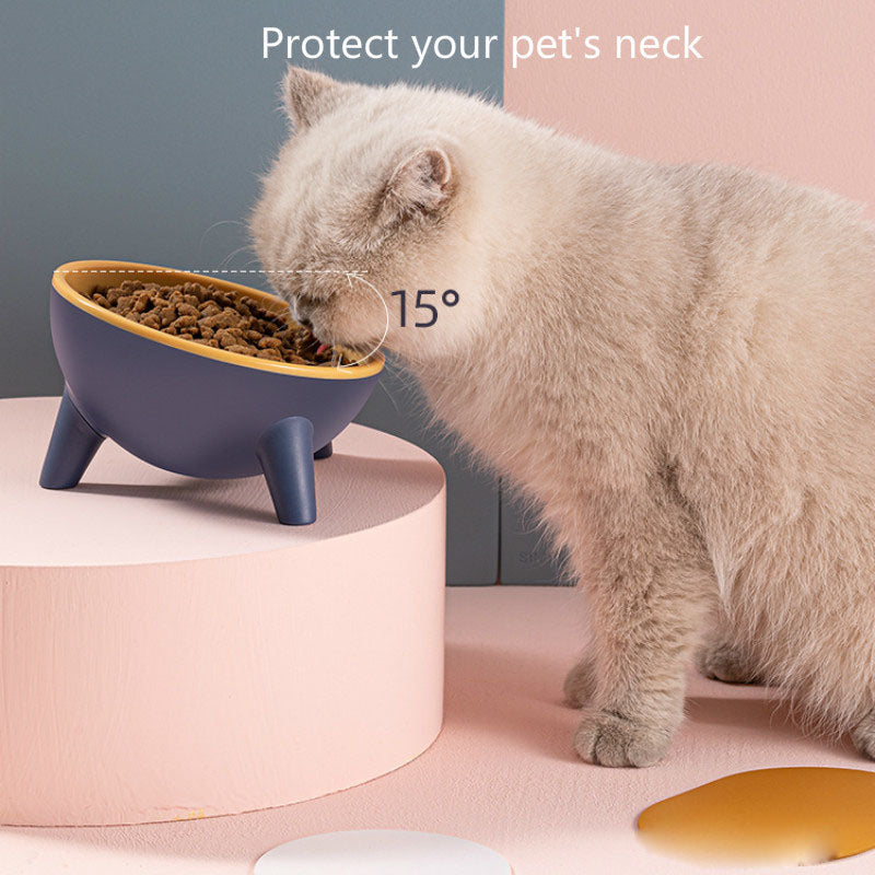 Elevated Pet Bowl with Stand – Cleaner & Healthier Feeding