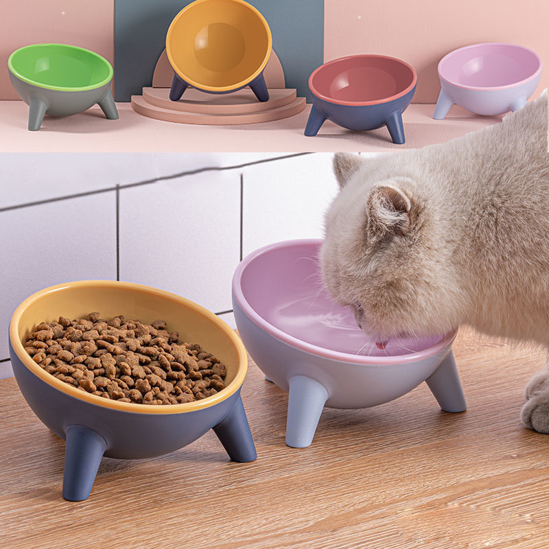Elevated Pet Bowl with Stand – Cleaner & Healthier Feeding