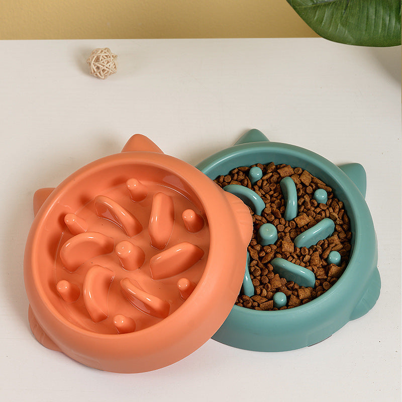 Slow Feeder Dog Bowl – Anti-Choking Pet Dish